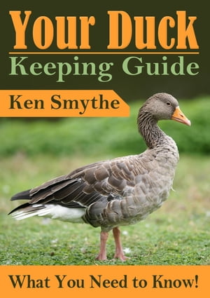 Duck Keeping Guide