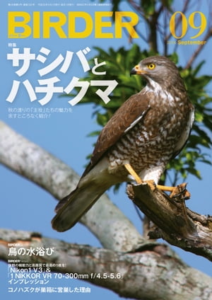 BIRDER2014年9月号