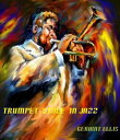 ŷKoboŻҽҥȥ㤨Trumpet Style in JazzŻҽҡ[ Geraint Ellis ]פβǤʤ381ߤˤʤޤ