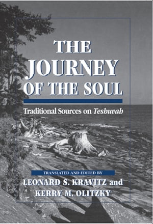 The Journey of the Soul