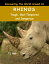 Rhinos Tough, Bad Tempered and Dangerous (Age 6 and above)Żҽҡ[ TJ Rob ]