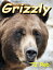 Grizzly (Age 6 and above)Żҽҡ[ TJ Rob ]