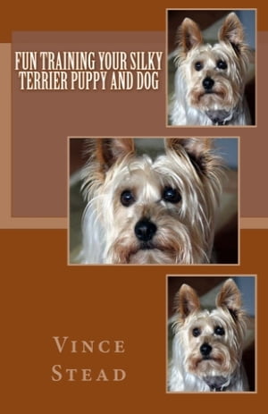 Fun Training your Silky Terrier Puppy and Dog