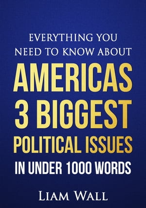 Everything You Need To Know About America’s 3 Biggest Political Issues in Under 1000 Words