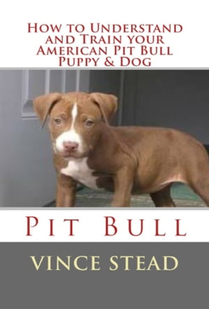 How to Understand and Train your American Pit Bull Puppy & Dog