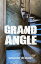 Grand angle thrillerŻҽҡ[ Vincent R?mont ]