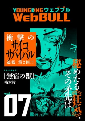 Web BULL7号