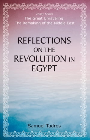 Reflections on the Revolution in Egypt