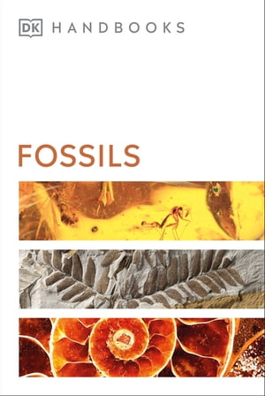 Fossils