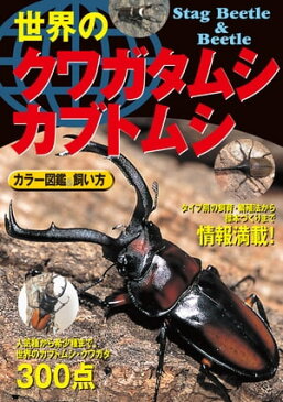 世界のクワガタムシ・カブトムシ カラー図鑑 飼い方人気種から希少種まで世界のカブトムシ・クワガタ300点【電子書籍】[ 青木猛 ]