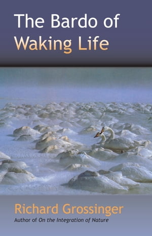 ŷKoboŻҽҥȥ㤨The Bardo of Waking LifeŻҽҡ[ Richard Grossinger ]פβǤʤ2,078ߤˤʤޤ