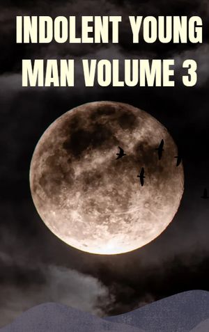 Indolent young man - Volume 3