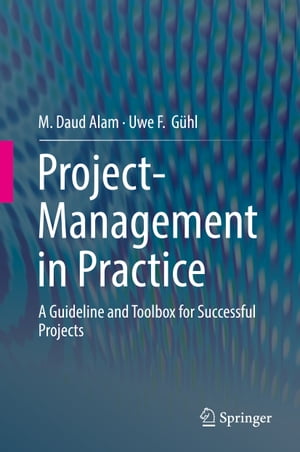 Project-Management in Practice