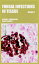 Fungal Infections in Tissue Volume 2