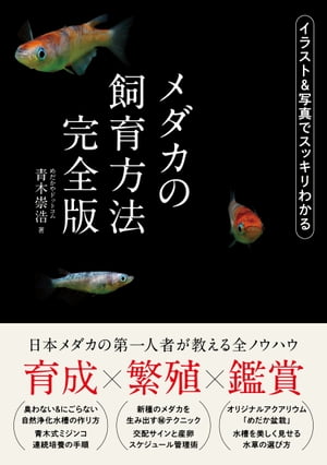 メダカの飼育方法 完全版