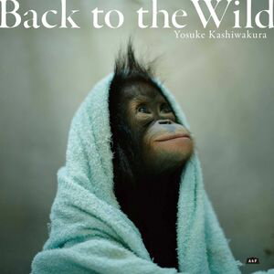 Back to the Wild 森を失ったオランウータン【電子書籍】[ 柏倉陽介 ]