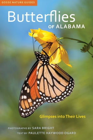 Butterflies of Alabama