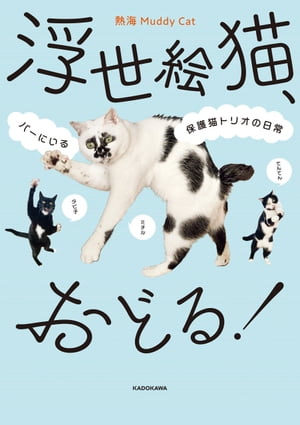 浮世絵猫、おどる！　バーにいる保護猫トリオの日常