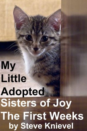 My Little Adopted Sisters of Joy The first Weeks