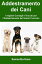 Addestramento dei Cani: I migliori Consigli e Trucchi per l'Addestramento del Vostro Cucciolo