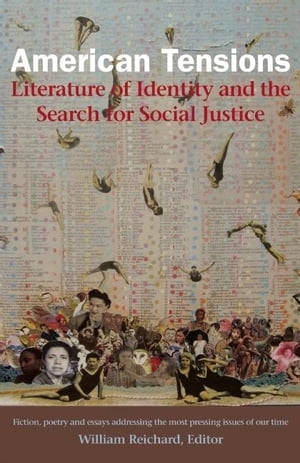 American Tensions Literature of Identity and the Search for Social Justice