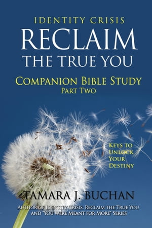 Identity Crisis Reclaim the True You Companion Bible Study Part 2