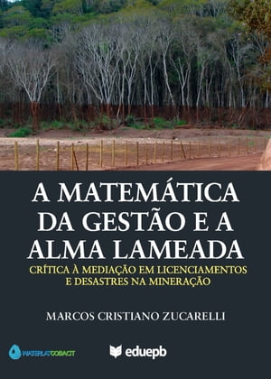 A matemática da gestão e a alma lameada