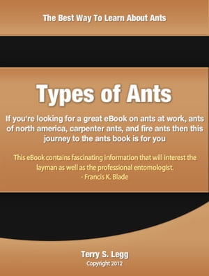 Types of Ants