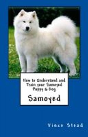 How to Understand and Train your Samoyed Puppy & Dog