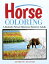 Horse Coloring: A Realistic Picture Reference Book for Adults