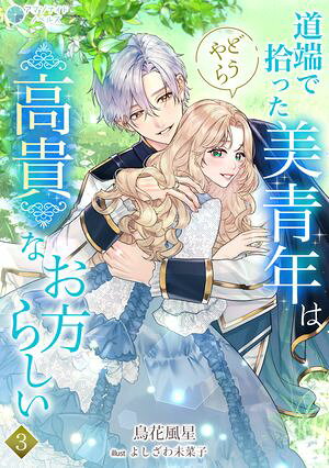 道端で拾った美青年はどうやら高貴なお方らしい（3）【電子書籍】[ 鳥花風星 ]