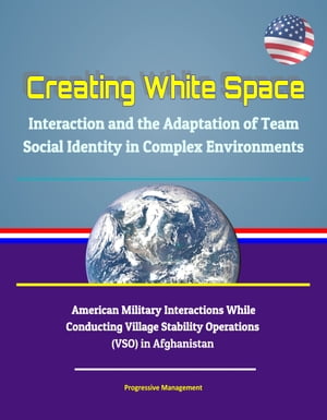 Creating White Space: Interaction and the Adaptation of Team Social Identity in Complex Environments - American Military Interactions While Conducting Village Stability Operations (VSO) in Afghanistan