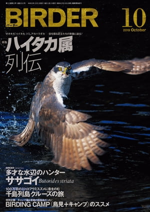 BIRDER2019年10月号