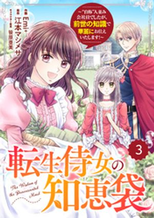 【期間限定　無料お試し版】Berry’sFantasy転生侍女の知恵袋～“自称”人並み会社員でしたが、前世の知識で華麗にお仕えいたします！～3巻