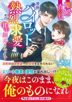 離婚直前、凄腕パイロットの熱烈求愛に甘く翻弄されてます〜旦那様は政略妻への恋情を止められない〜