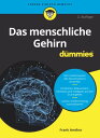 Das menschliche Gehirn f?r Dummies