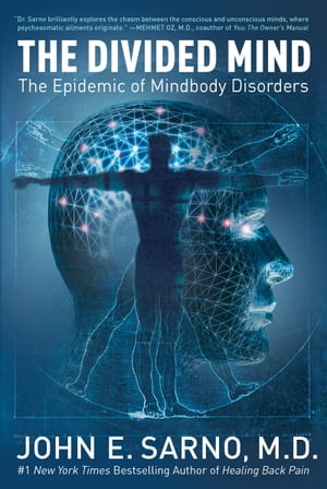 The Divided Mind The Epidemic of Mindbody Disorders