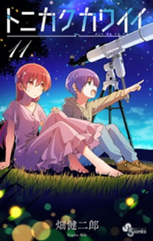 ȥ˥磻11ˡŻҽҡ[ ȪϺ ]