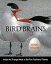 Bird Brains