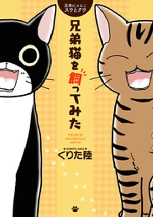 兄弟にゃんこ　スウとクウ　兄弟猫を飼ってみた