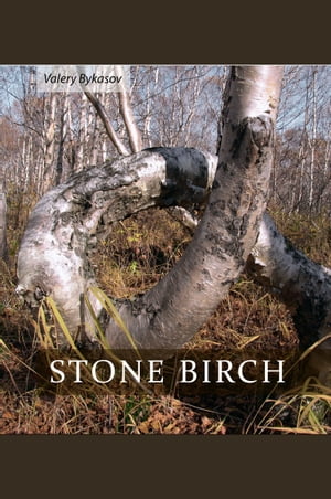 Stone Birch