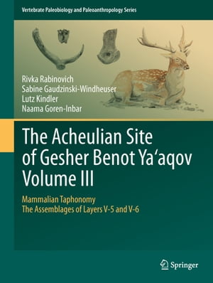 The Acheulian Site of Gesher Benot Ya‘aqov Volume III