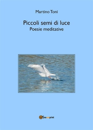 Piccoli semi di luce - Poesie meditativeŻҽҡ[ Martino Toni ]