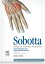 Sobotta Atlas of Human Anatomy, Vol.1, 15th ed., English