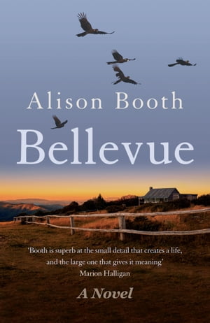 ŷKoboŻҽҥȥ㤨BellevueŻҽҡ[ Alison Booth ]פβǤʤ813ߤˤʤޤ