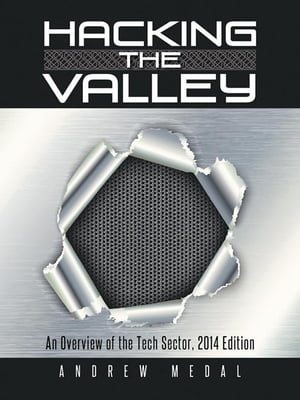 Hacking the Valley An Overview of the Tech Secto