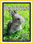 Just Bunny Rabbit Photos! Big Book of Photographs & Pictures of Bunnies & Rabbits, Vol. 1