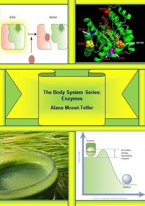 The Body System Series: Enzymes