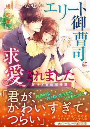 なぜかエリート御曹司に求愛されました〜甘すぎる花嫁修業〜