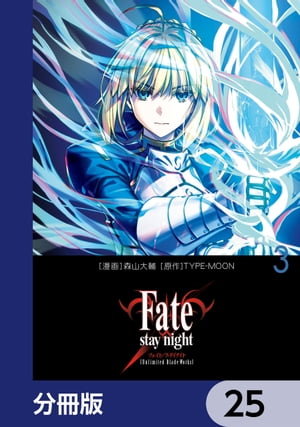 Fate/stay nightUnlimited Blade Worksϡʬǡۡ25Żҽҡ[ TYPEMOON ]